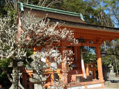 RIMG0018.JPG