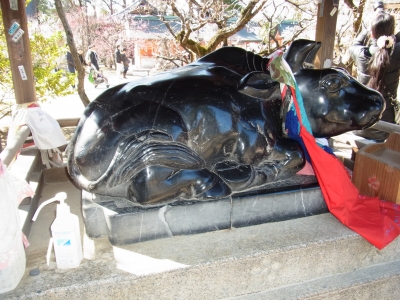 RIMG0011.JPG