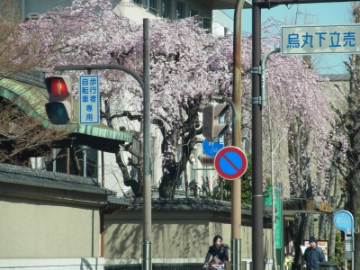 RIMG0253.JPG