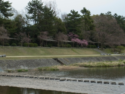 RIMG0256.JPG