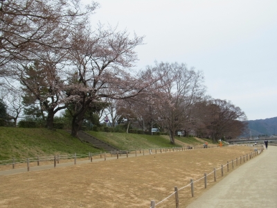 RIMG0257.JPG