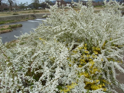 RIMG0260.JPG