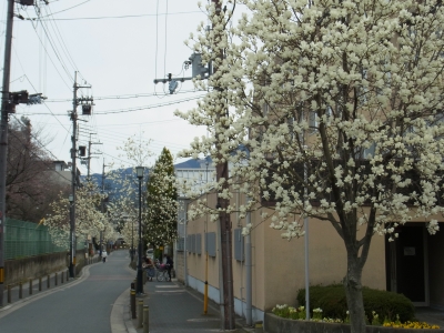 RIMG0267.JPG
