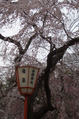 CIMG0876.JPG