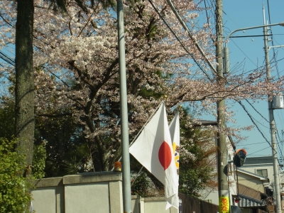 RIMG0279.JPG