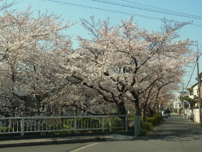 RIMG0282.JPG