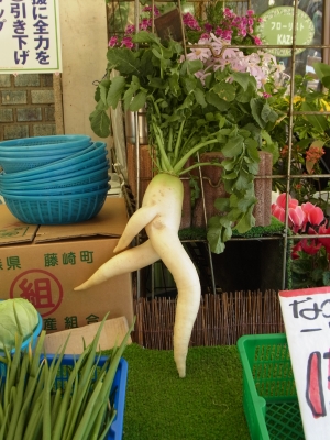 RIMG0284.JPG