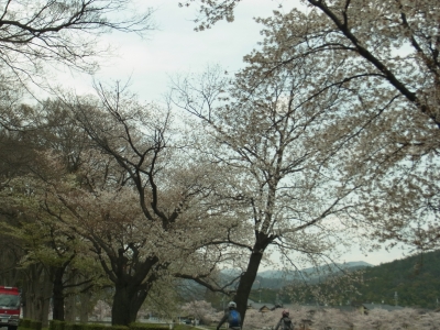 RIMG0302.JPG