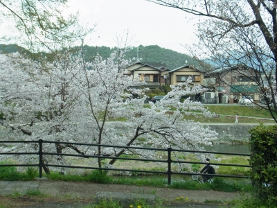 RIMG0303.JPG