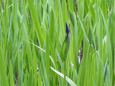 RIMG0626.JPG