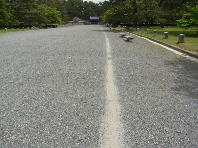 RIMG0634.JPG