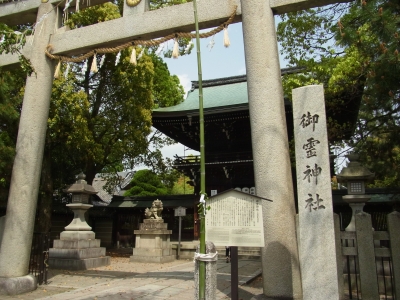 RIMG0652.JPG