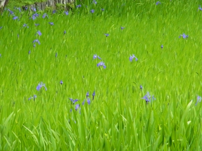 RIMG0674.JPG