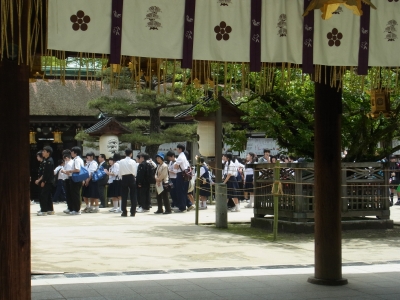 RIMG0765.JPG