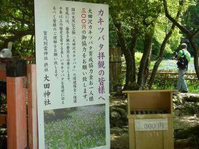 RIMG0776.JPG
