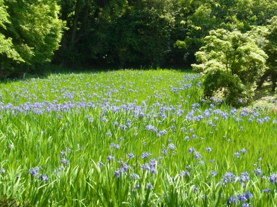 RIMG0768.JPG
