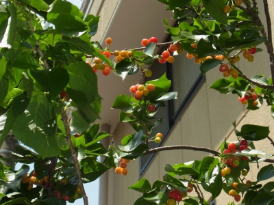 RIMG0780.JPG