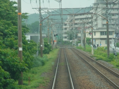 RIMG1195.JPG