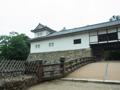 RIMG1203.JPG