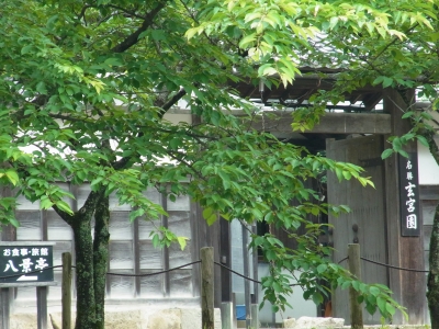 RIMG1268.JPG