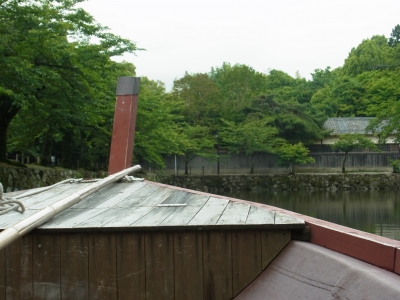 RIMG1239.JPG