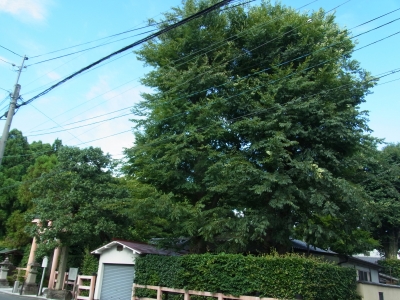 RIMG1540.JPG