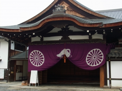 RIMG1112.JPG