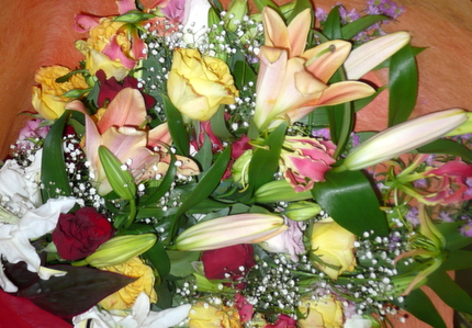 P1540202.JPG