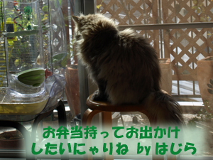 PB042978.jpg