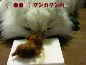 CANFRX0Bのコピー.jpg