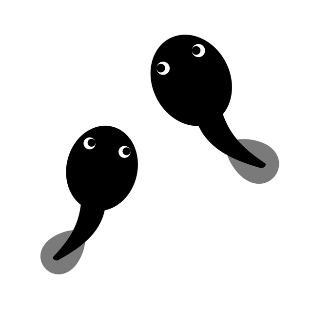 妊孕性温存にかかる平均費用