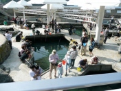 20080503_アジ釣り_ed.jpg