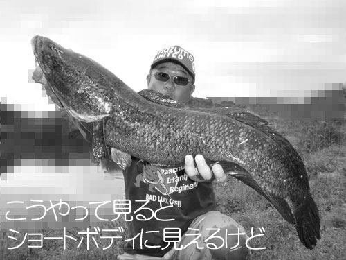 20110509_953881.jpg
