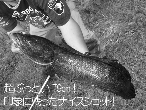 20110509_953882.jpg
