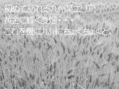 20110523_963759.jpg