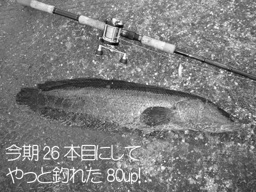 20110526_965956.jpg