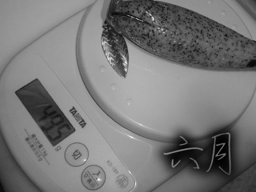 20110609_975774.jpg