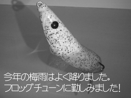 20110609_975775.jpg