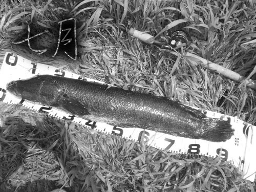20110718_1000044.jpg
