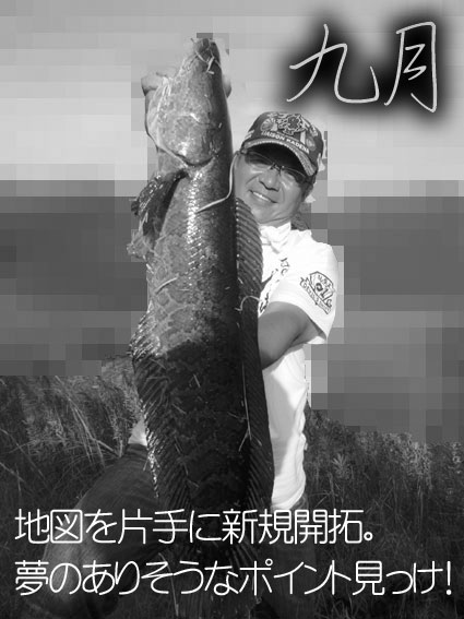 20110912_1035059.jpg