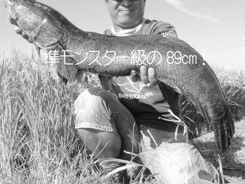 20110920_1039957.jpg