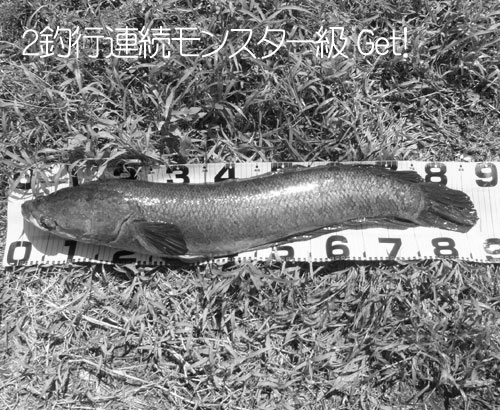 20110926_1043676.jpg