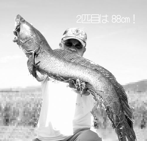20110926_1043677.jpg