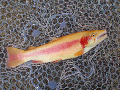 20111211 001.jpg