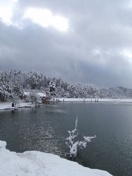 20111228 012.jpg