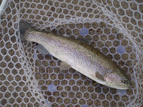 20120108 003.jpg