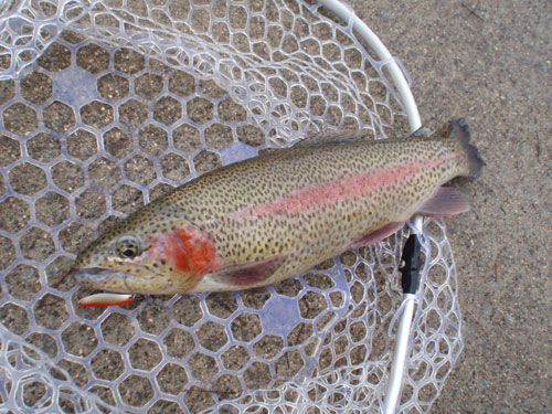 20120108 004.jpg