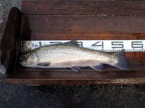 20120108 007.jpg