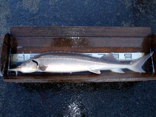 20120108 010.jpg