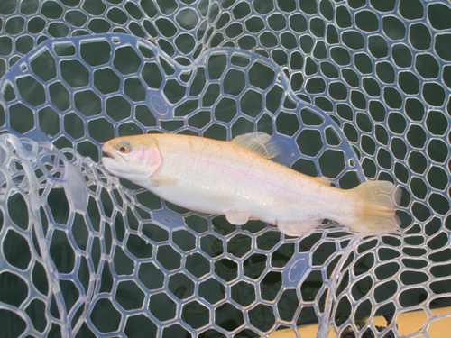 20120122 001.jpg